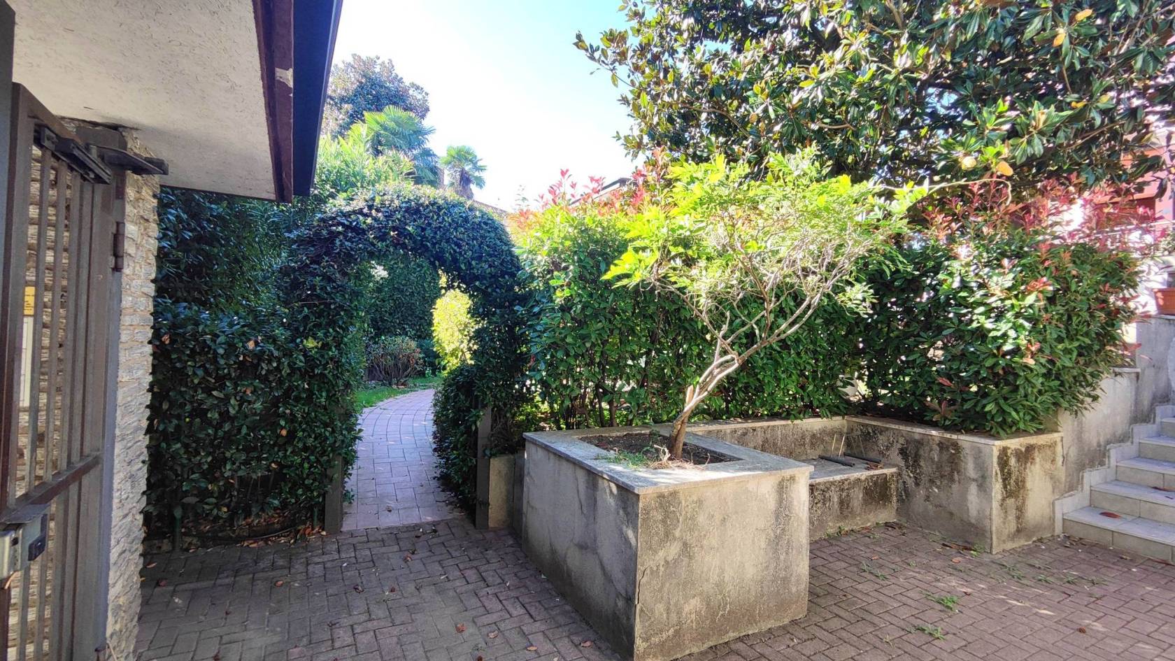Giardino