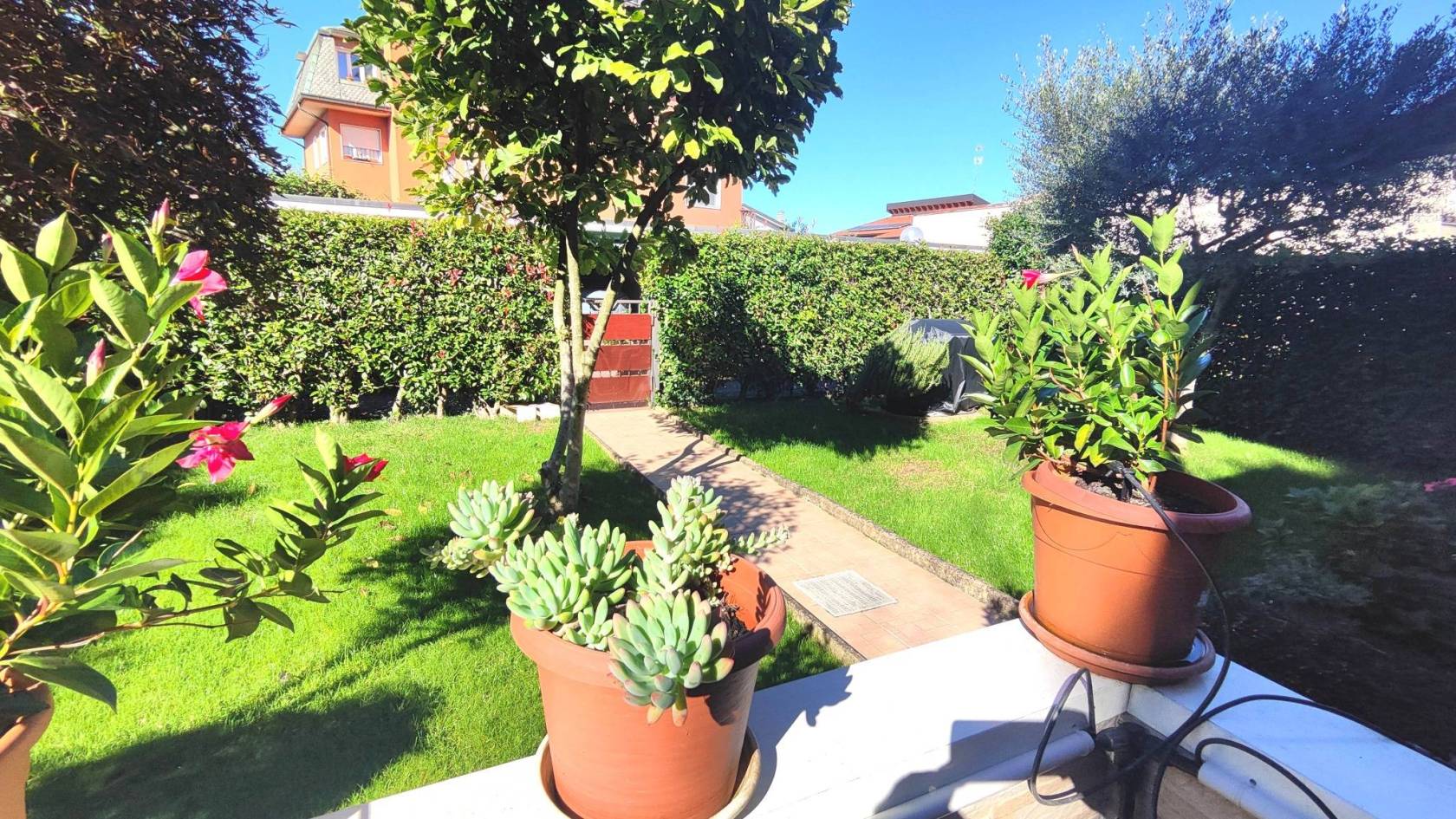 Giardino