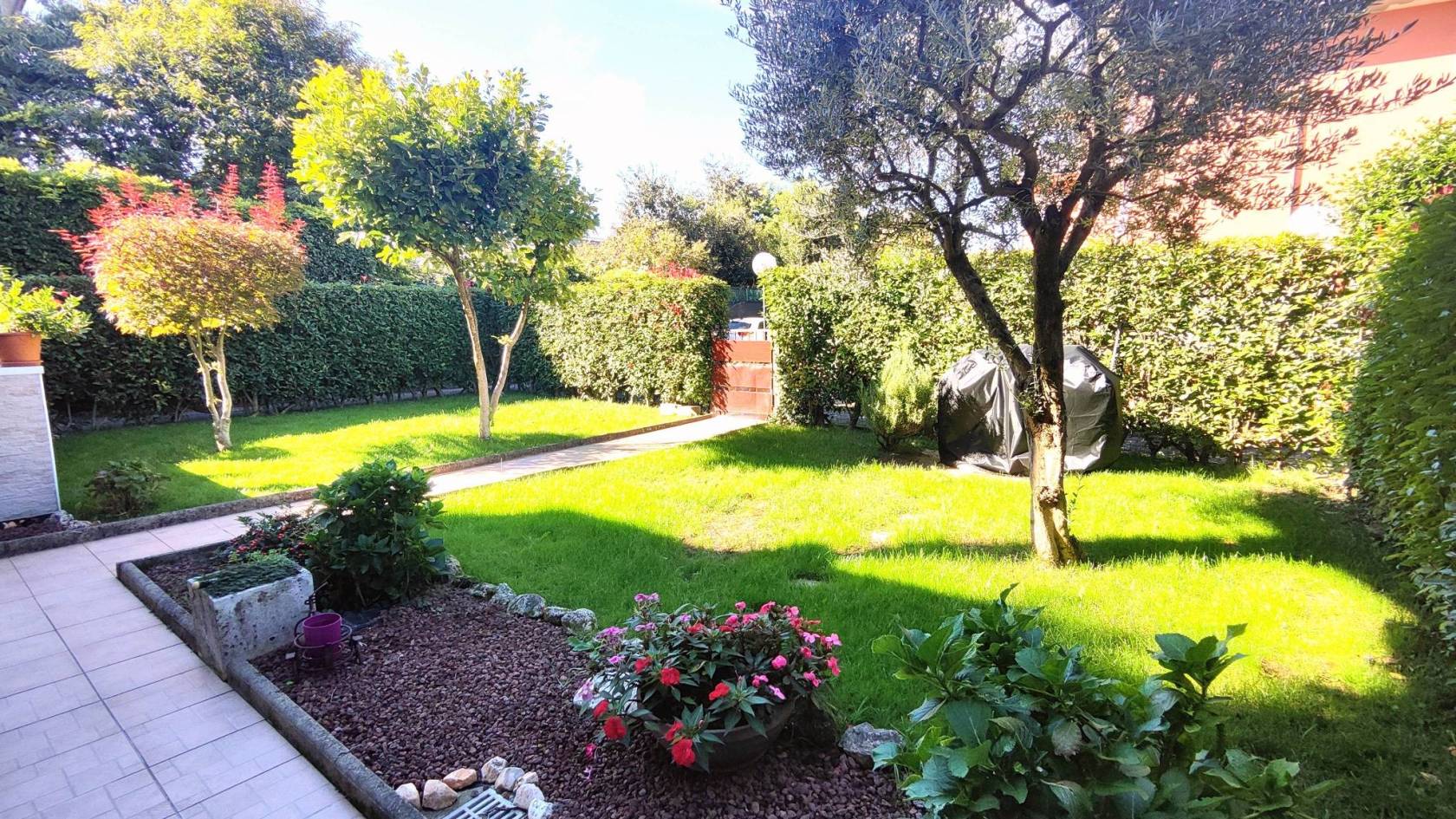 Giardino