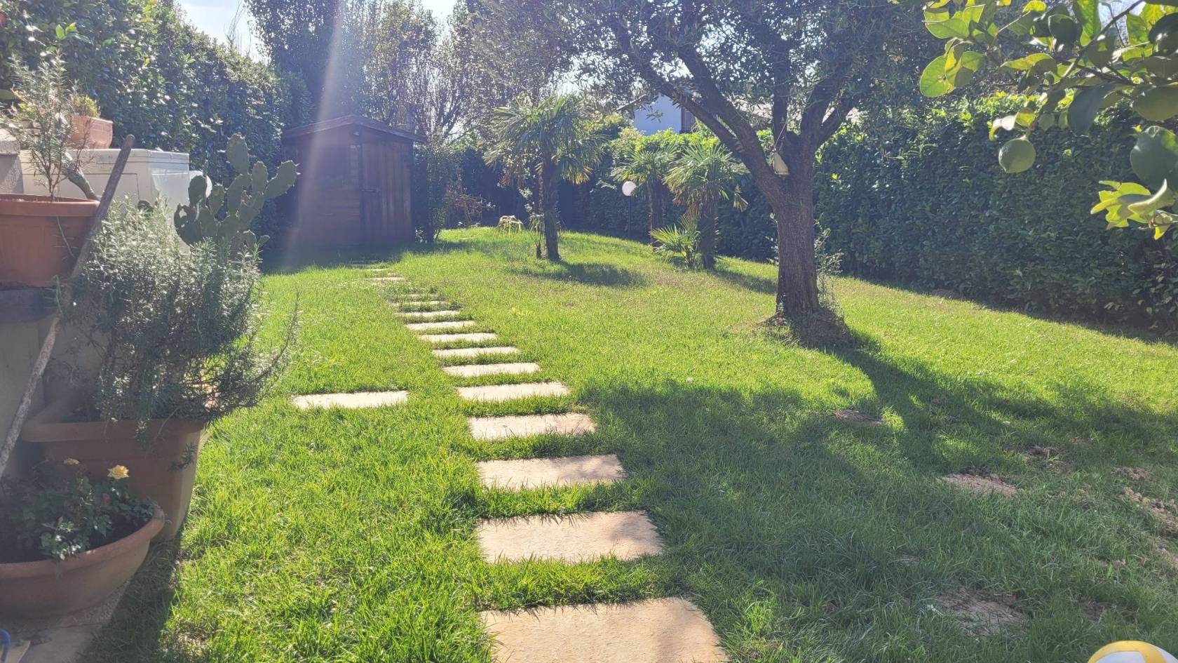 Giardino