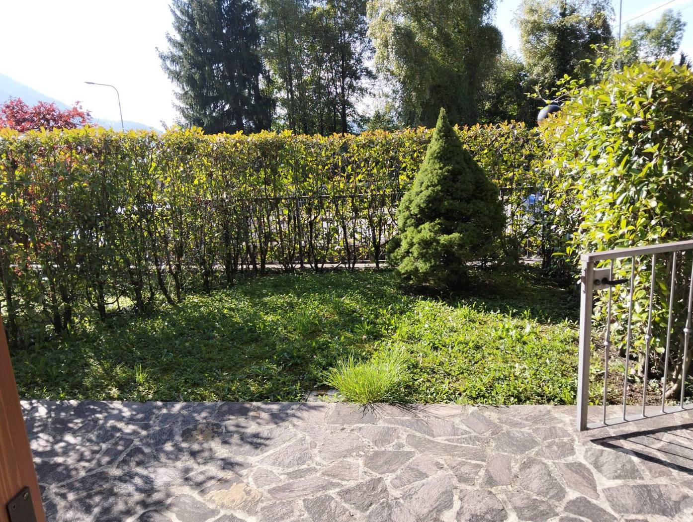 Giardino
