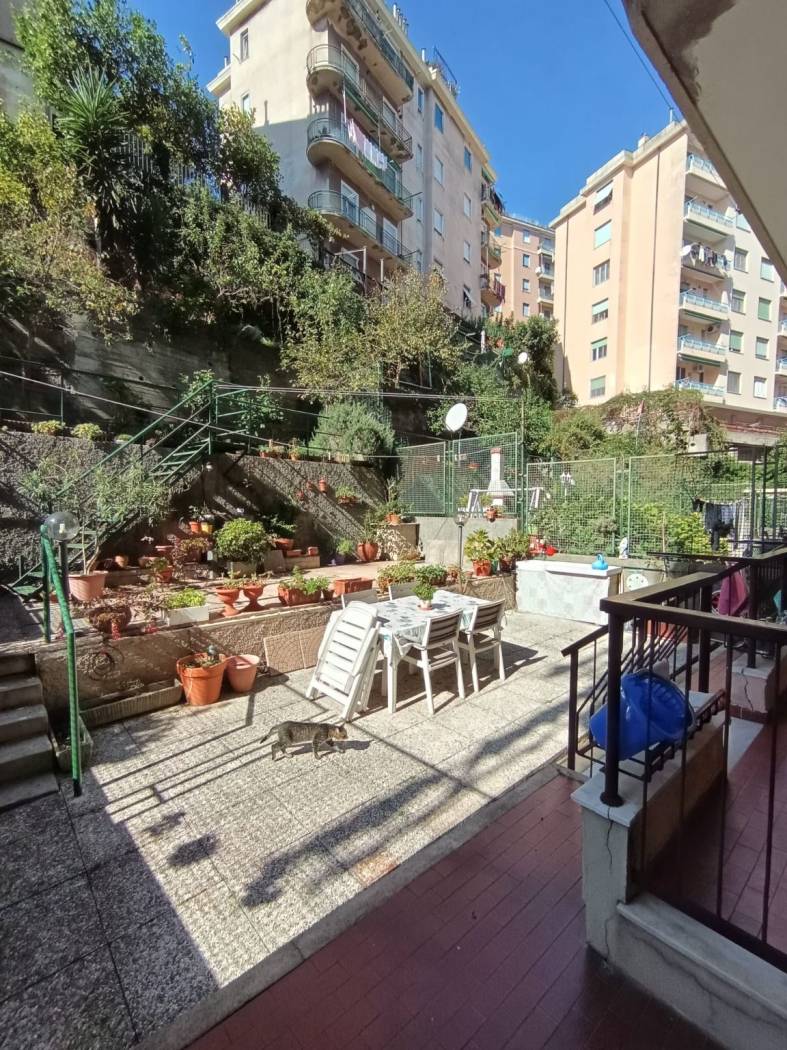Giardino