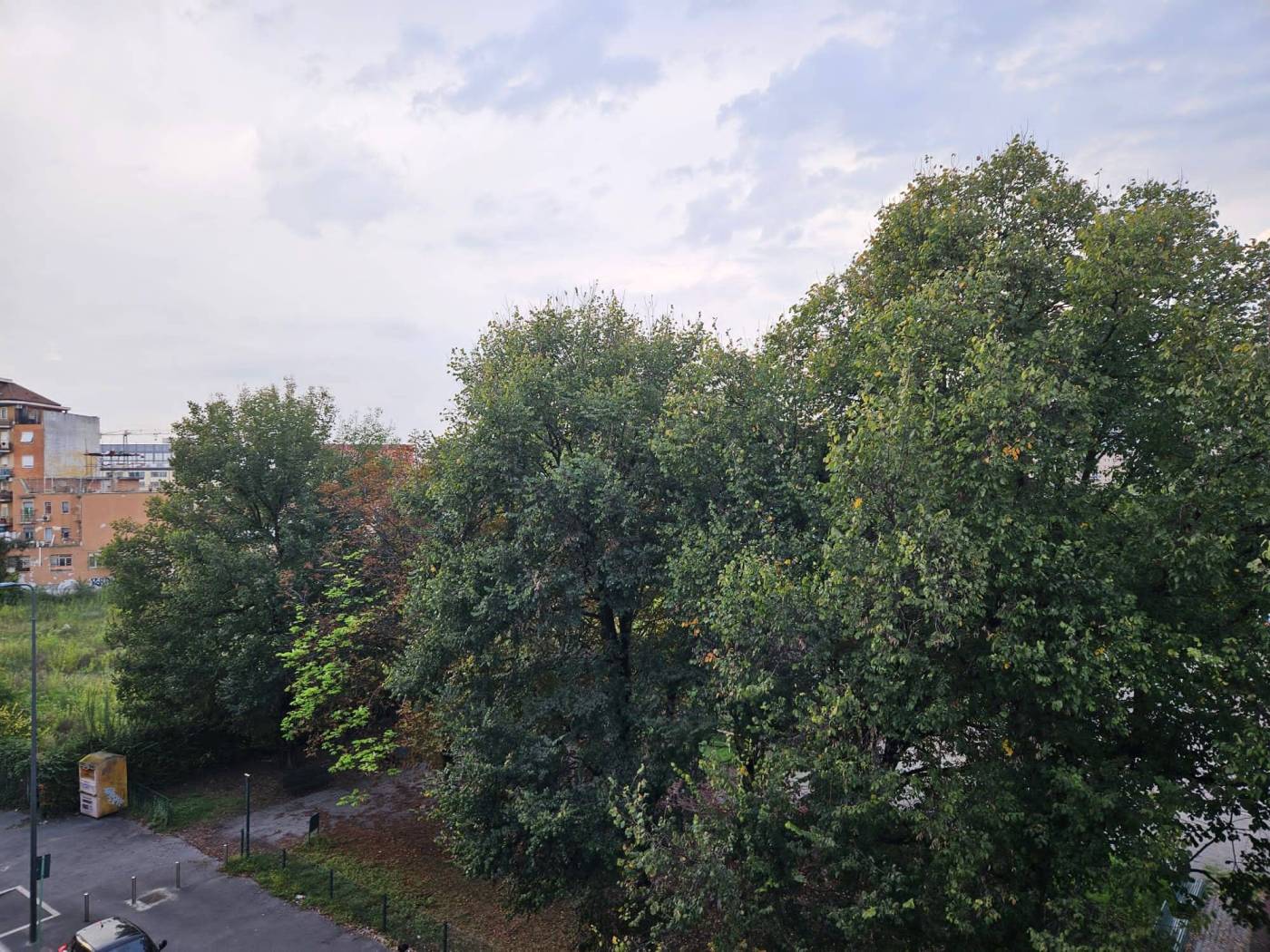 Vista
