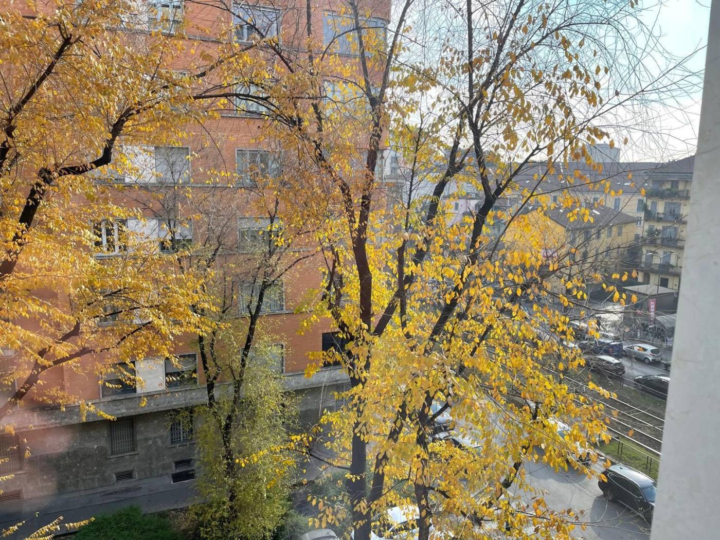 Vista