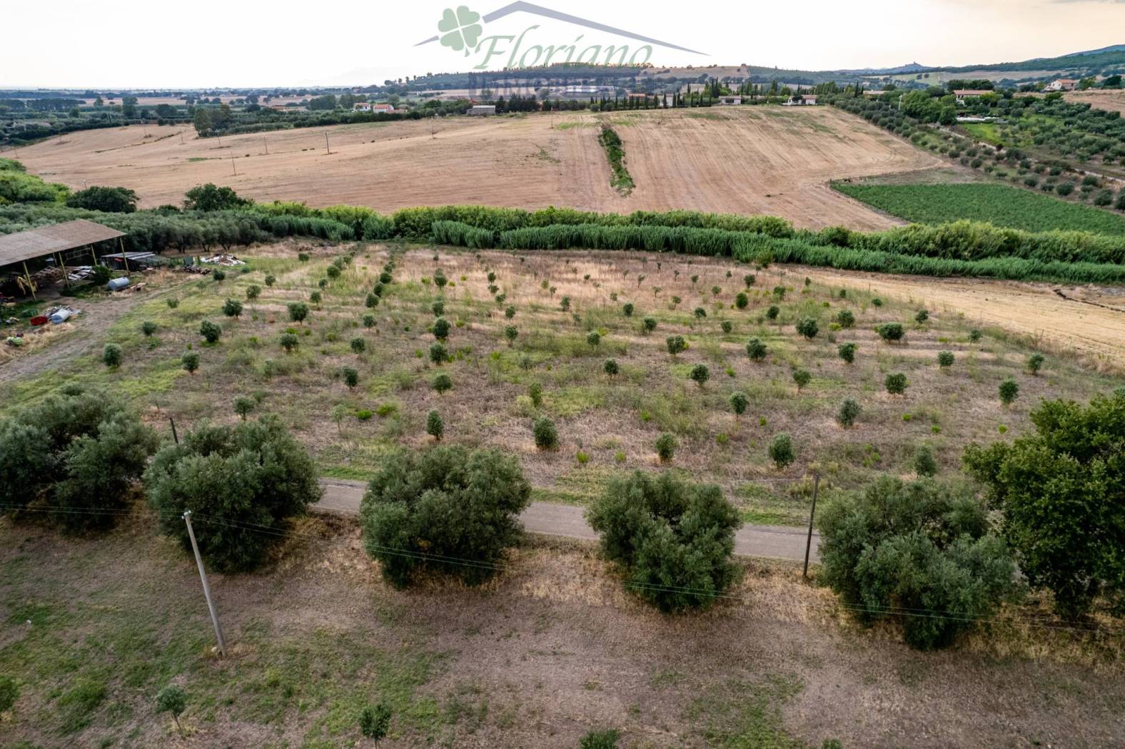 Terreno
