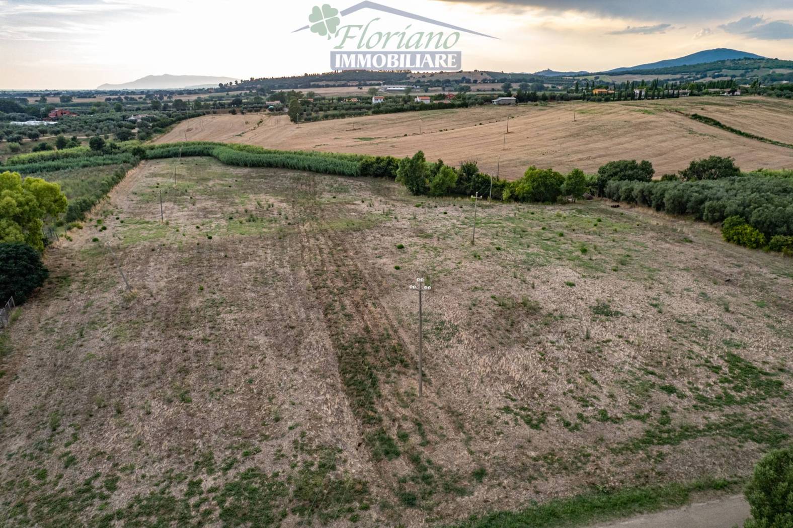 Terreno