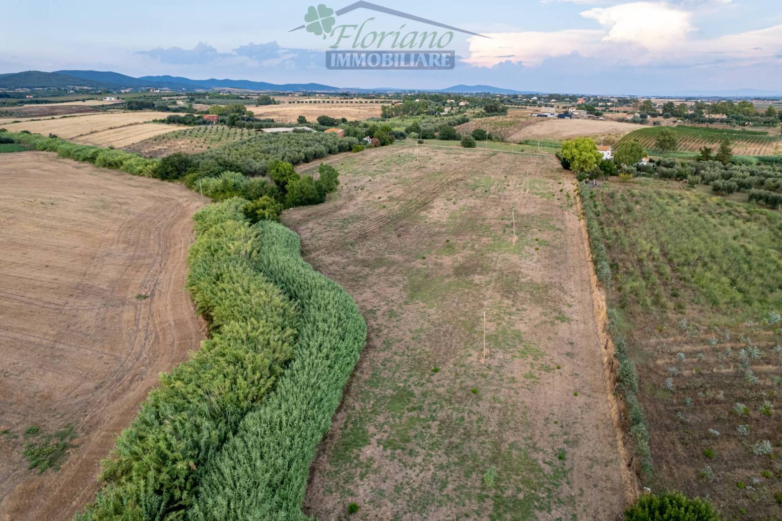 Terreno