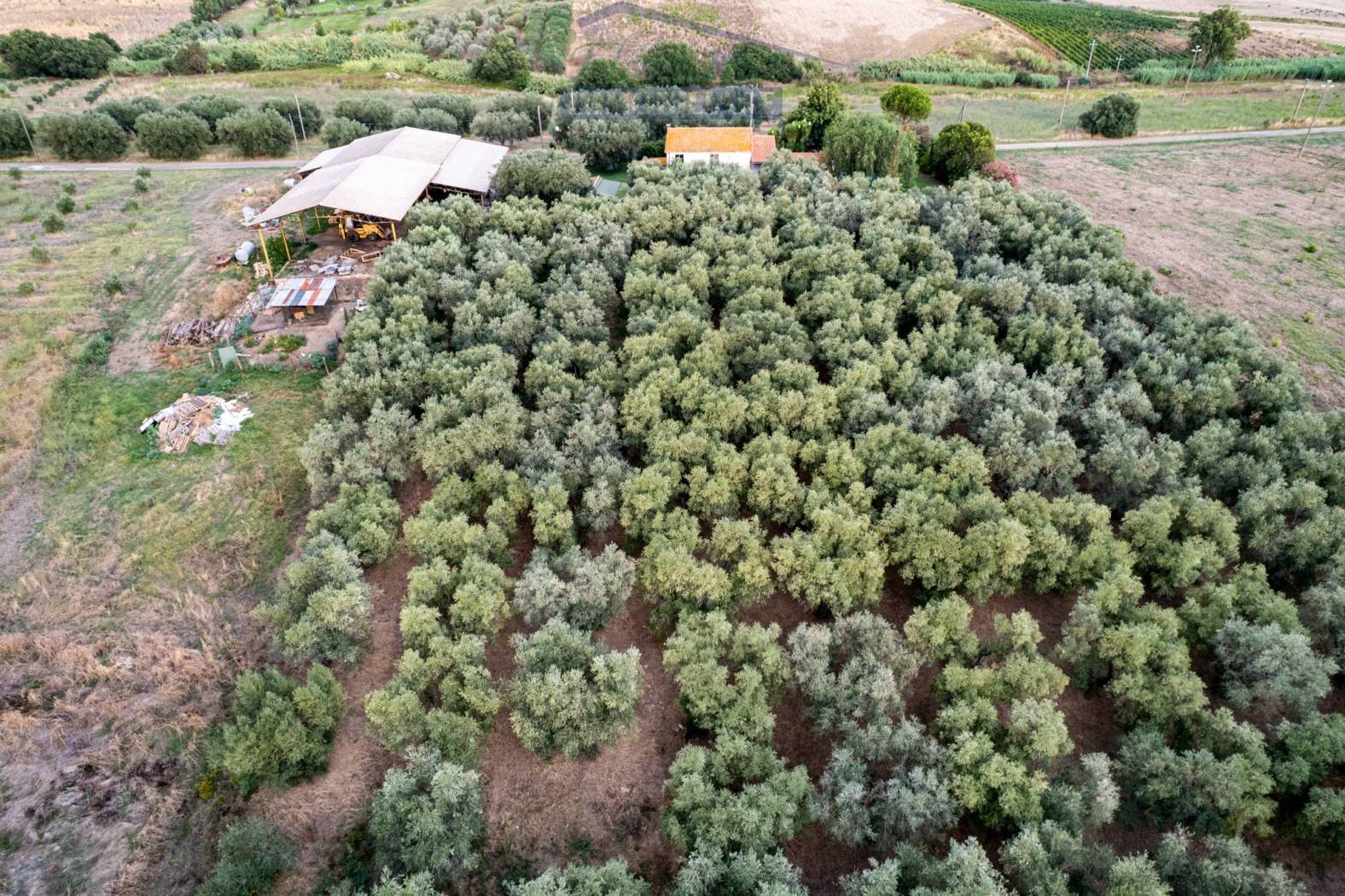Terreno