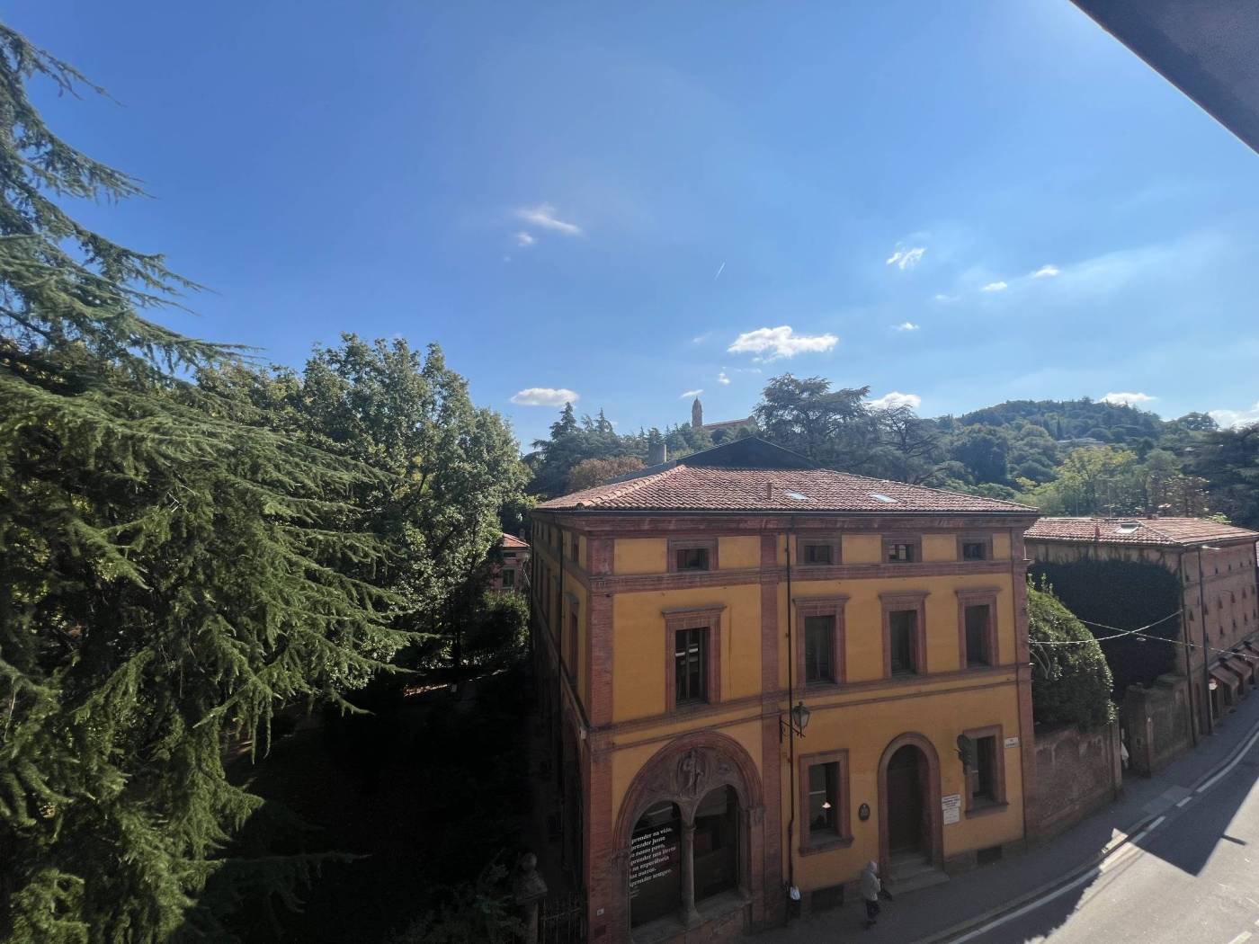 Vista