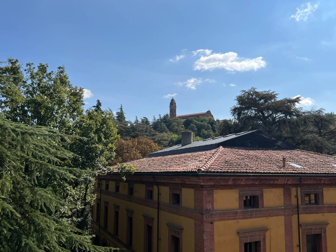 Vista