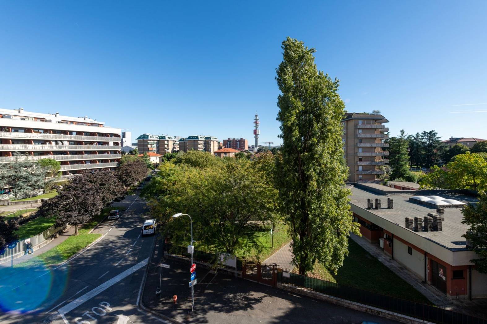Vista