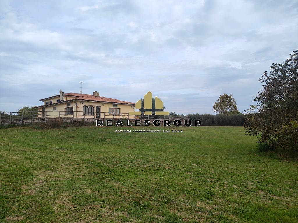 Terreno
