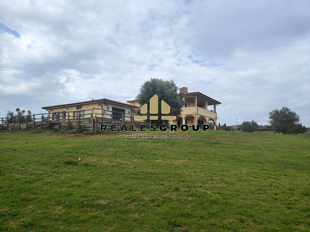 Terreno
