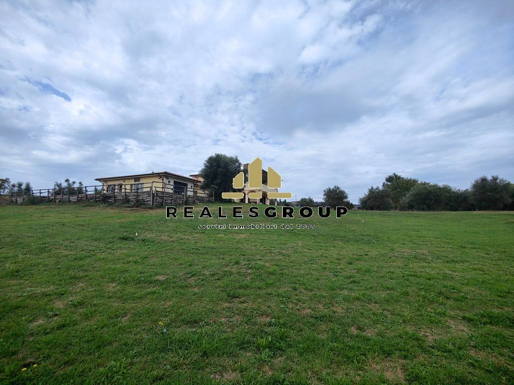 Terreno