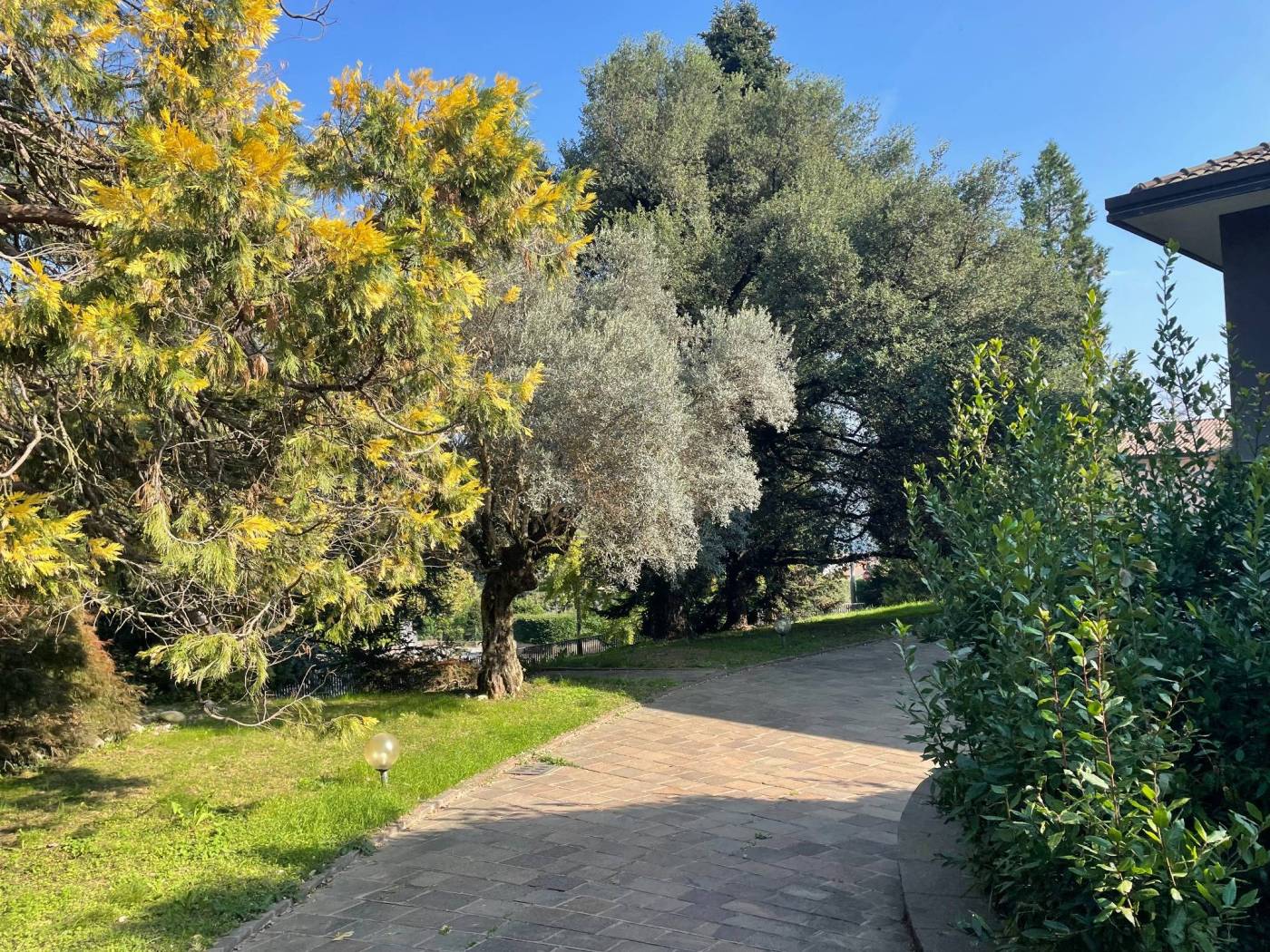 Giardino