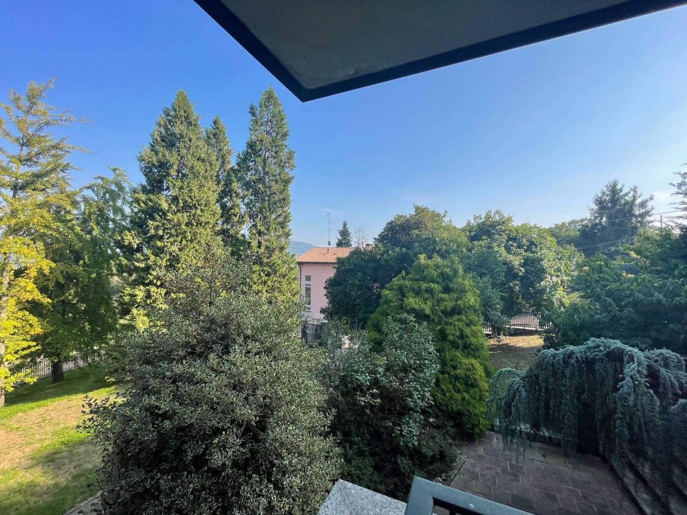 Vista