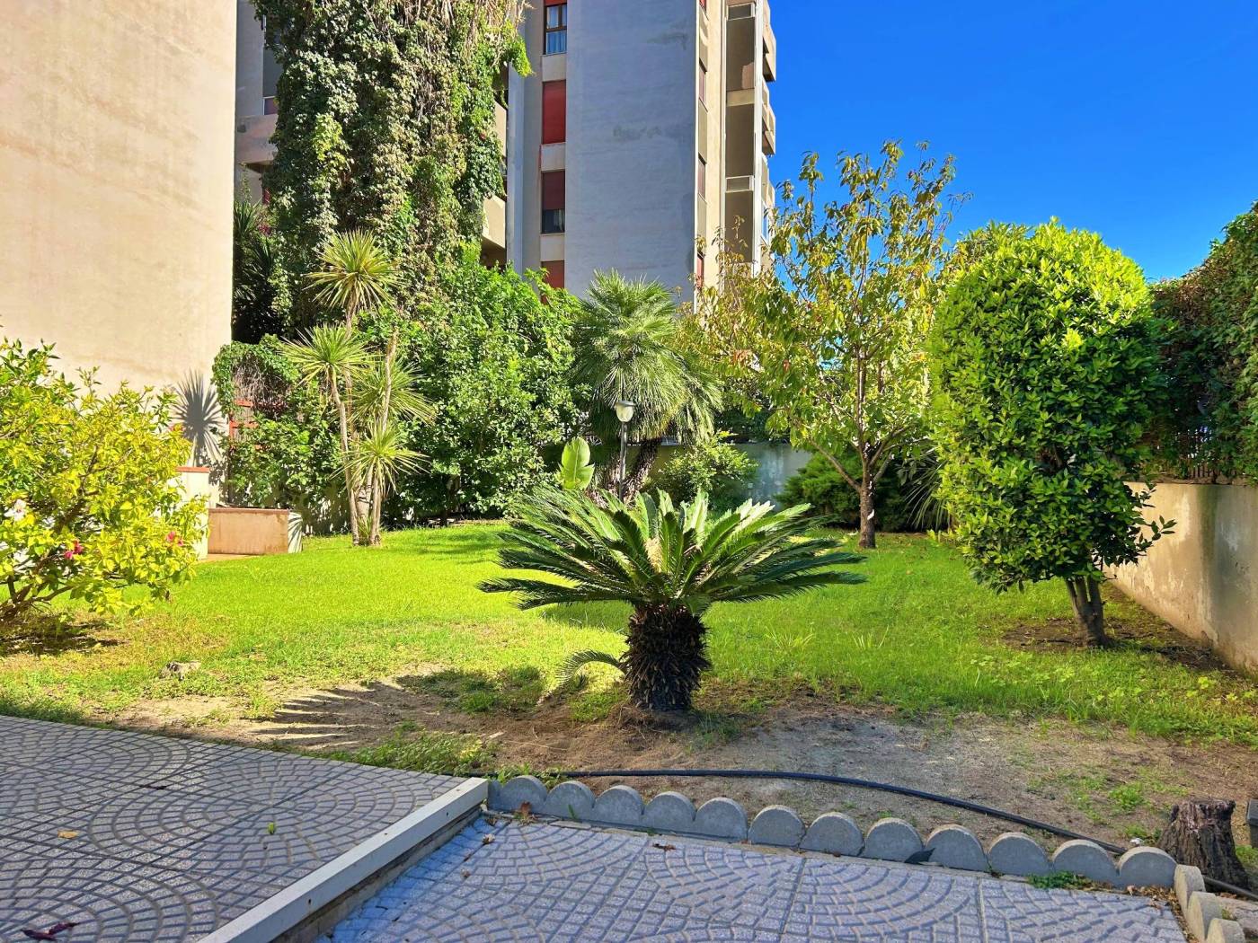 Giardino