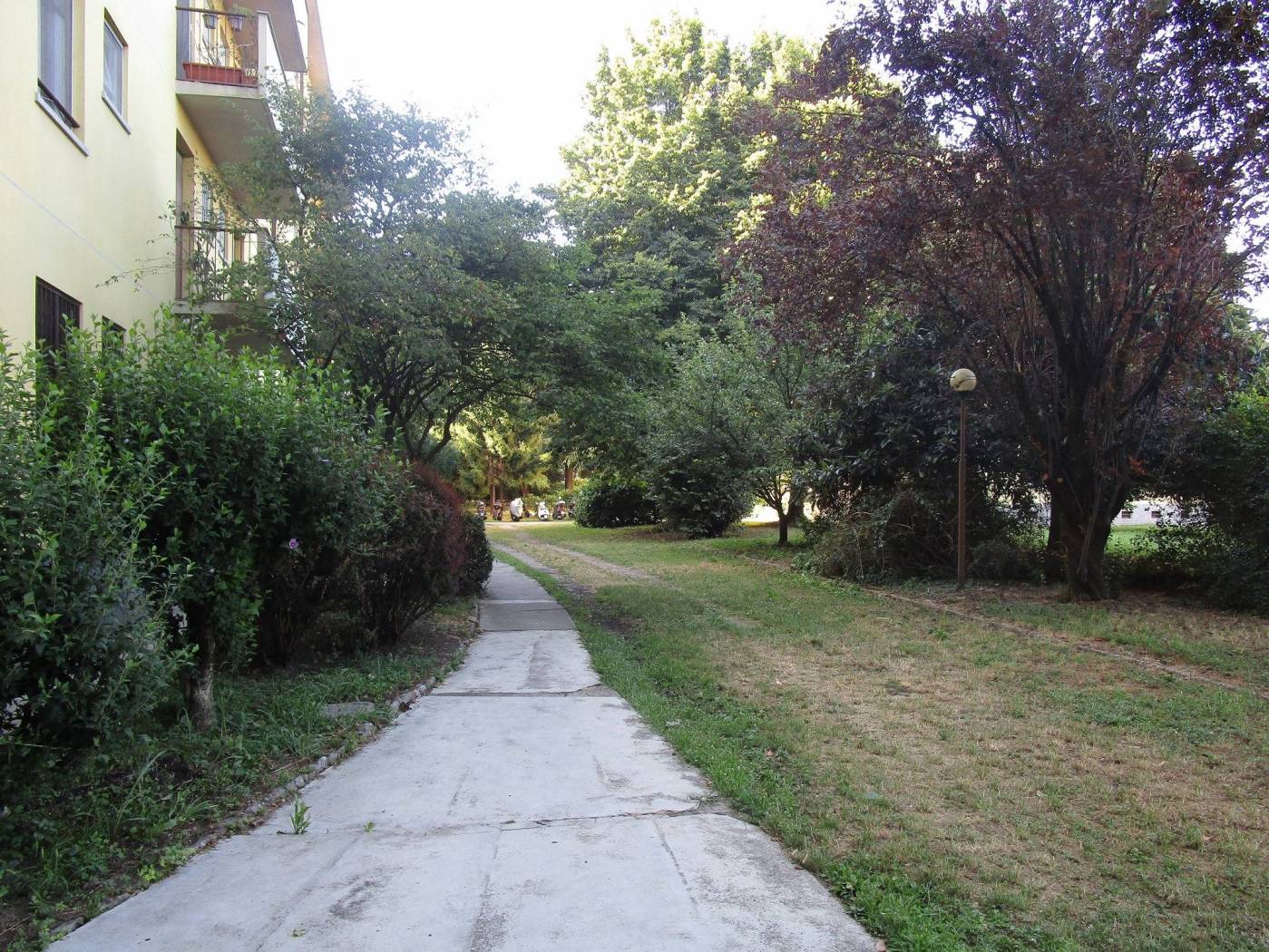 Giardino
