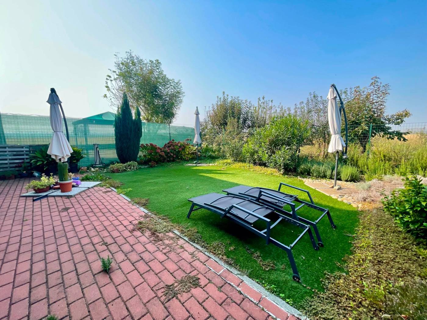 Giardino