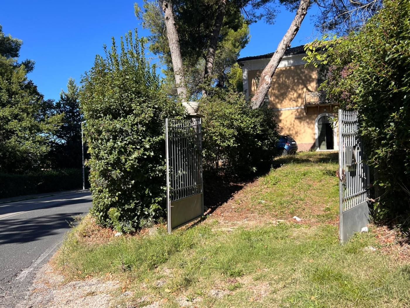 Giardino