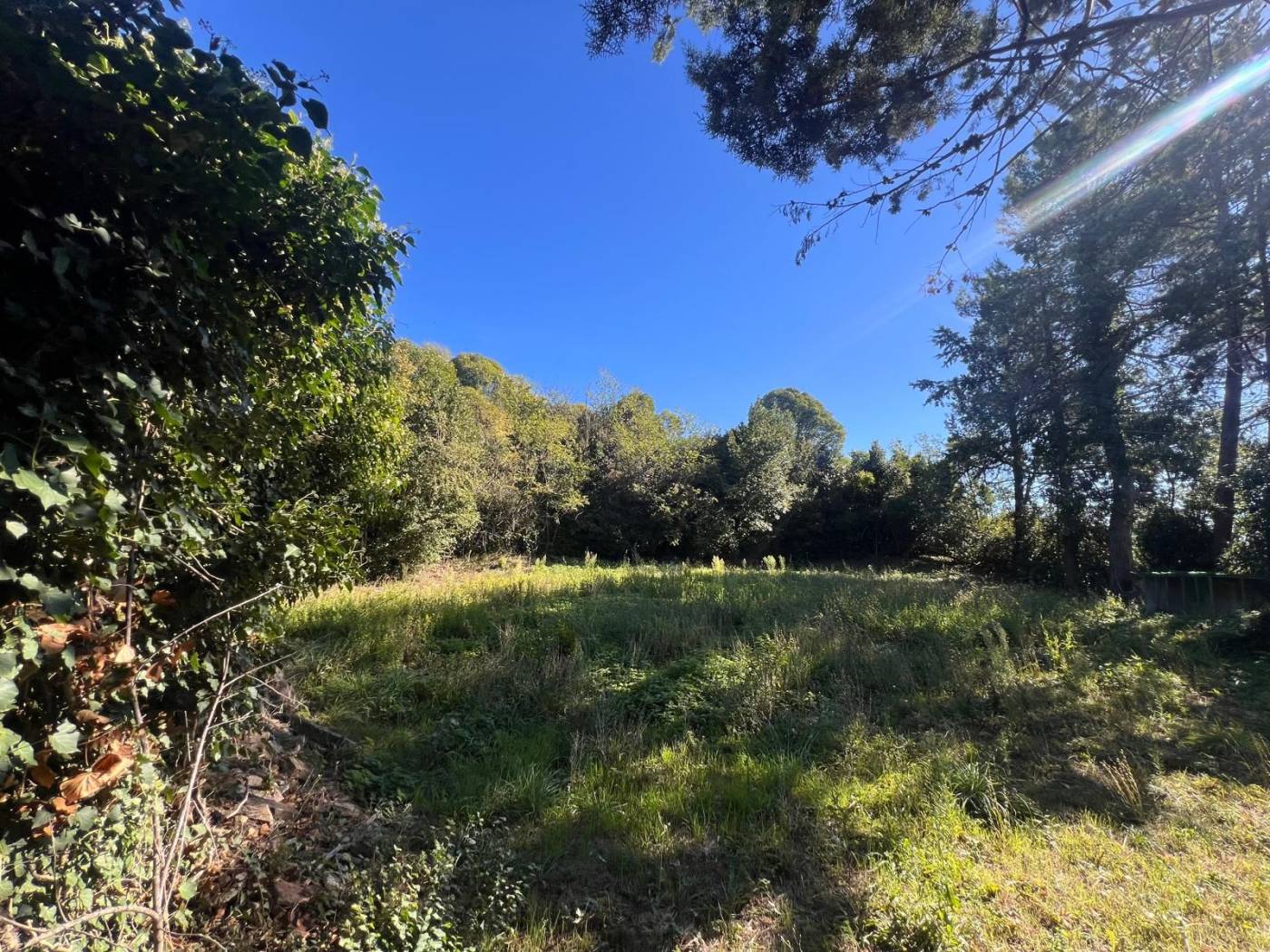 Terreno