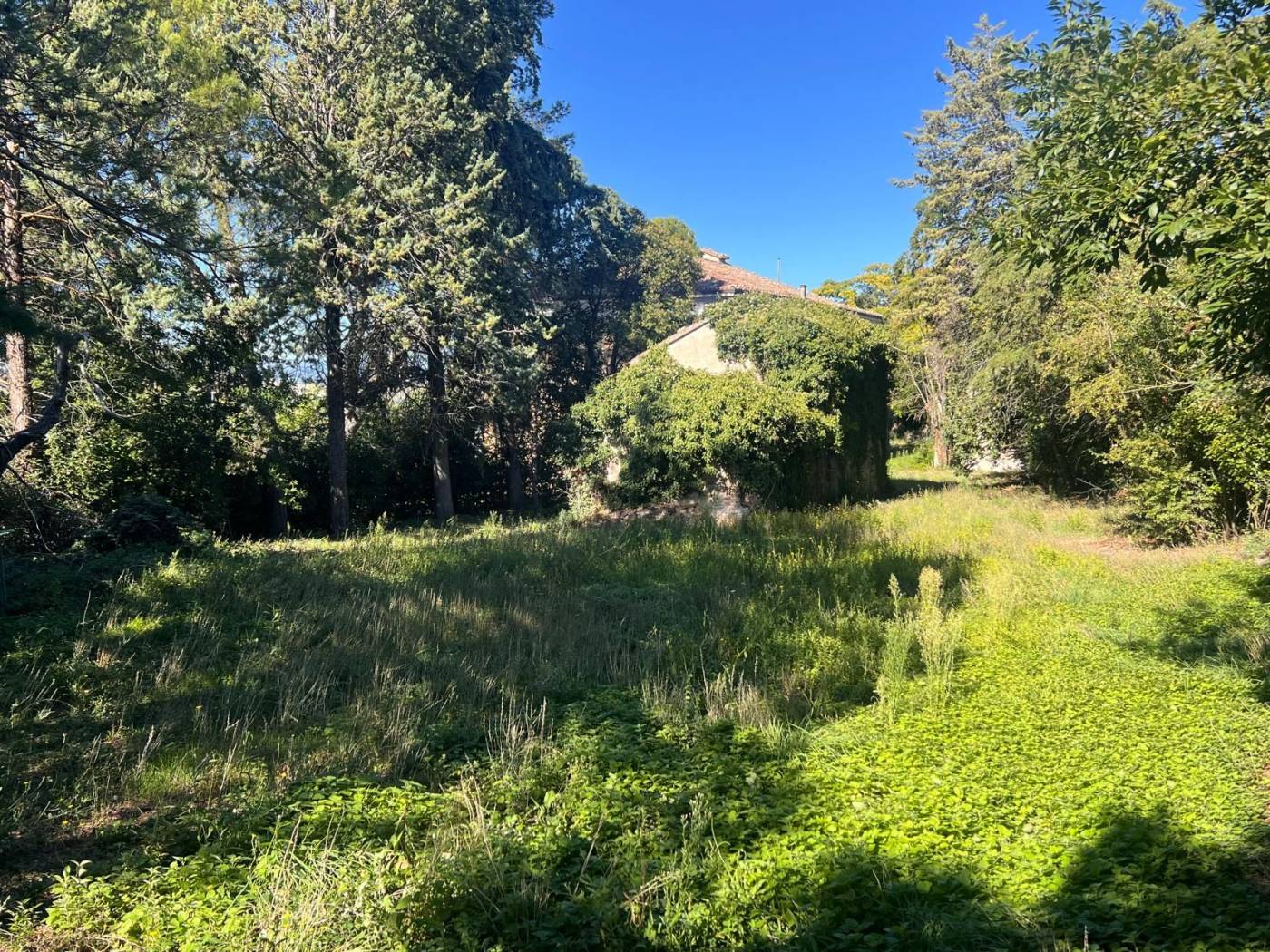 Terreno