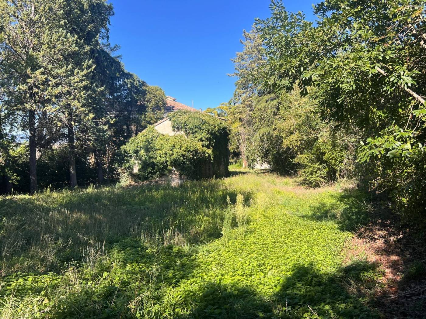 Terreno