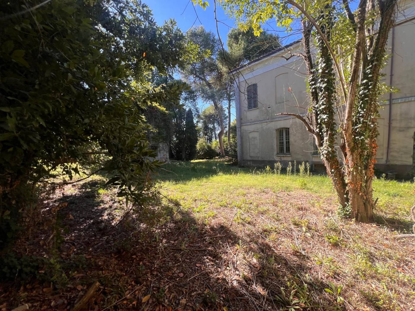 Giardino