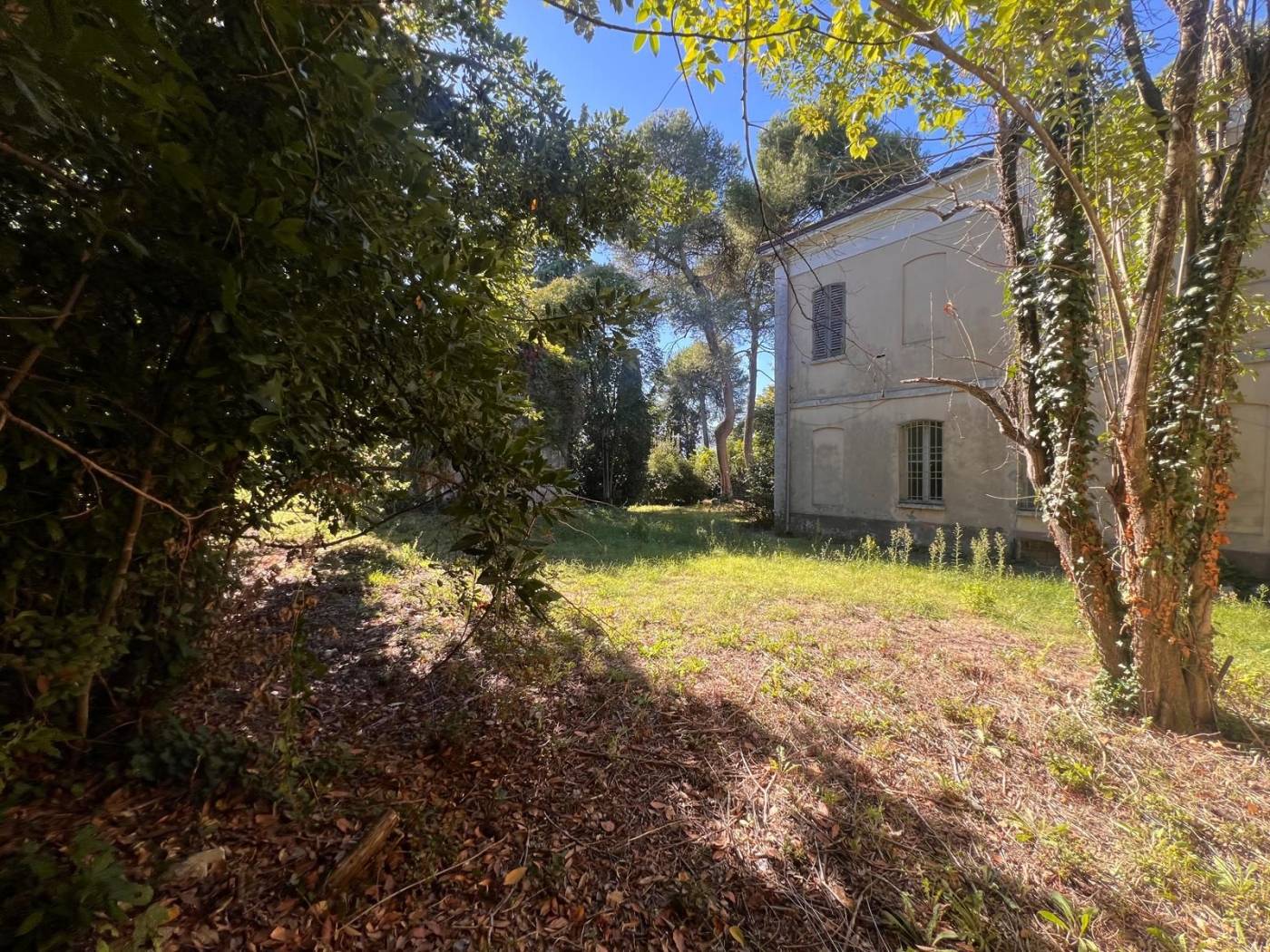 Giardino