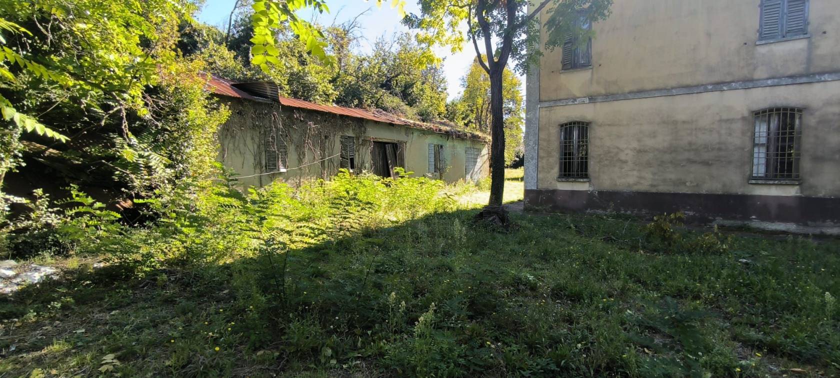 Terreno