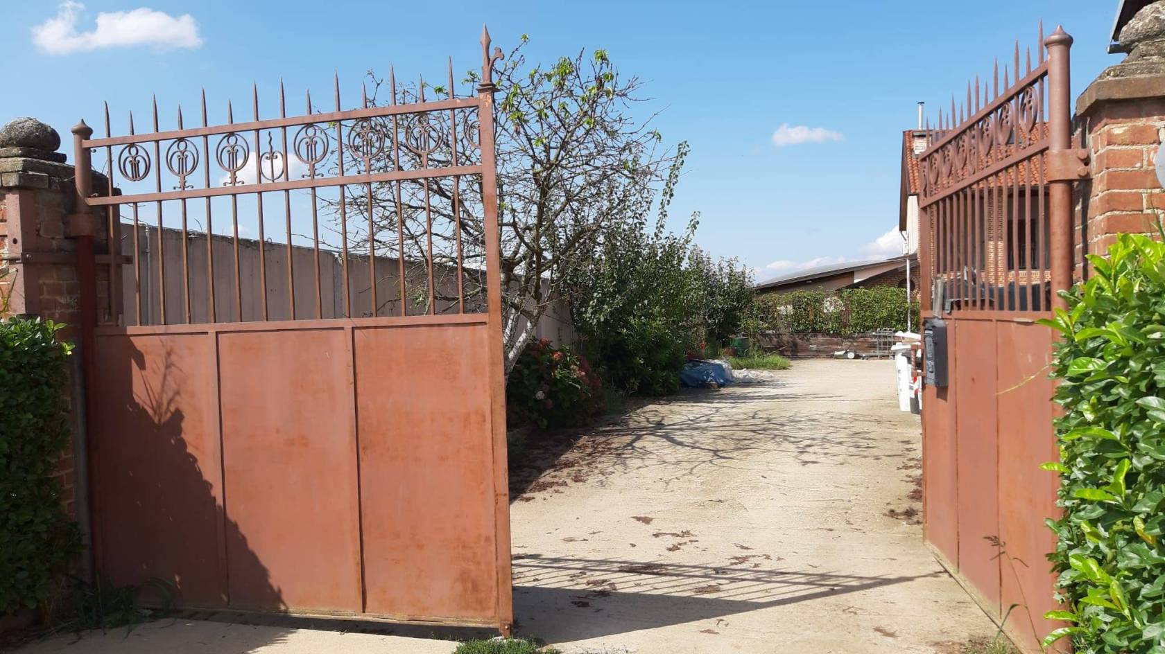 Ingresso