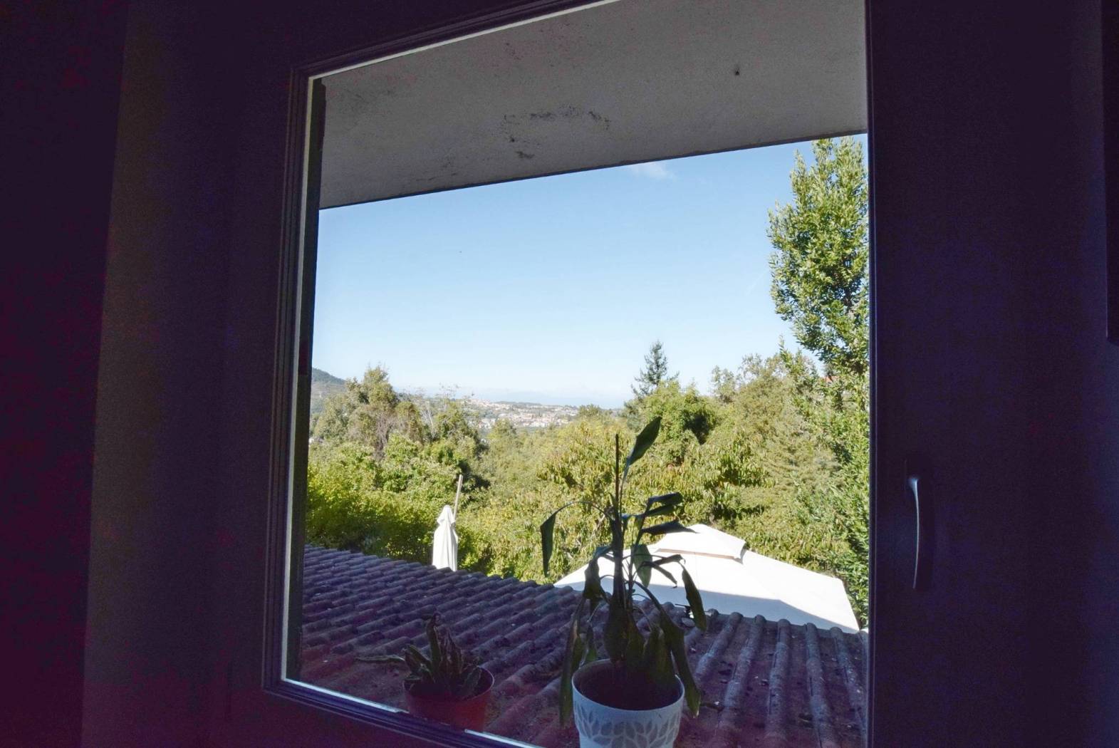 Vista