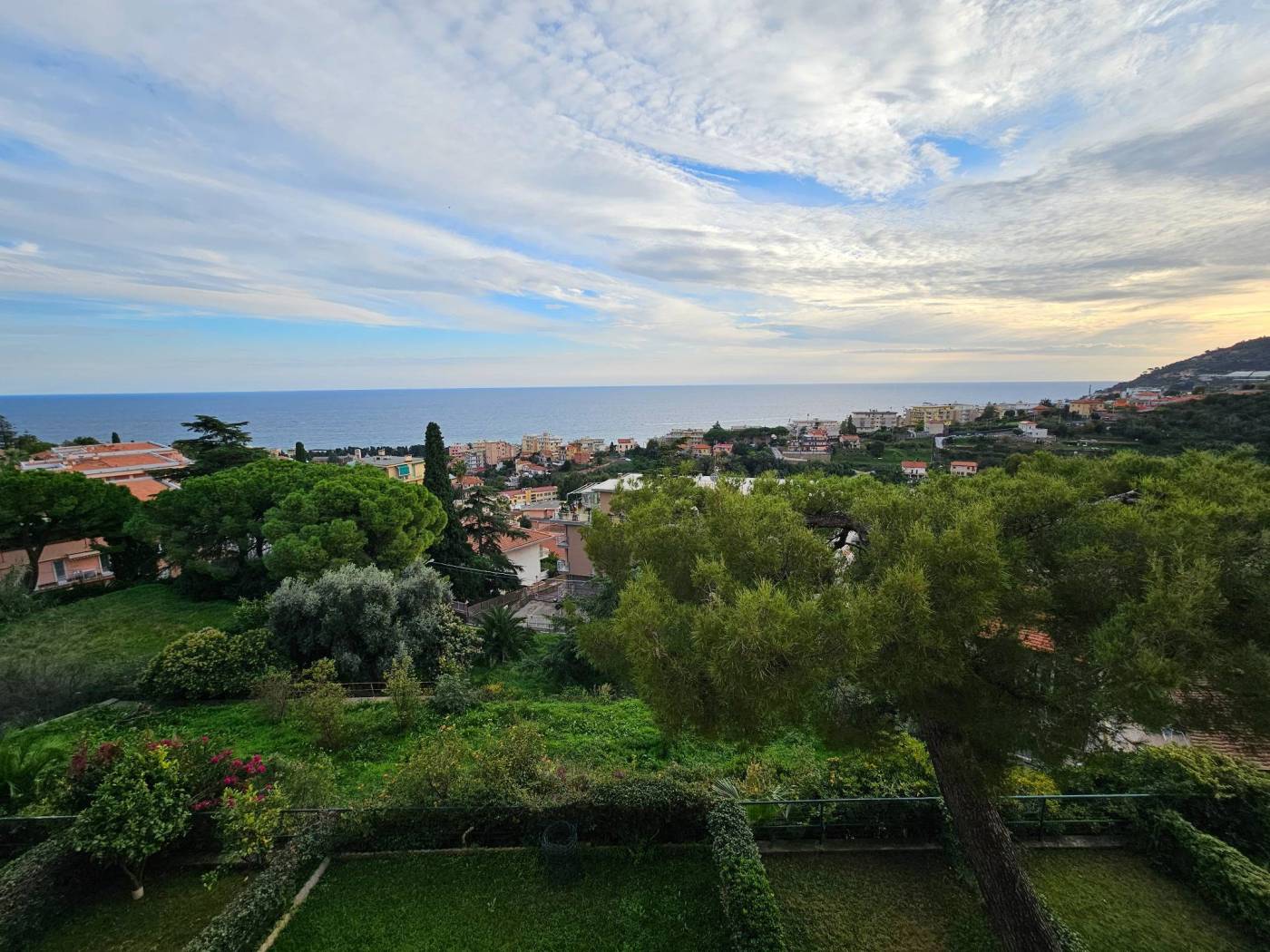 Vista