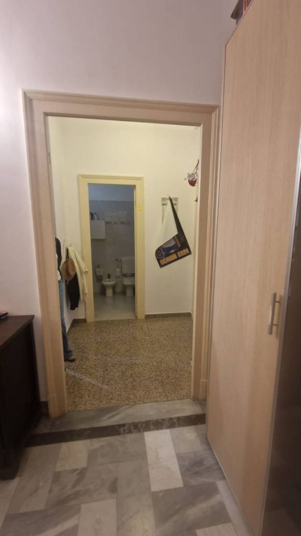 Ingresso