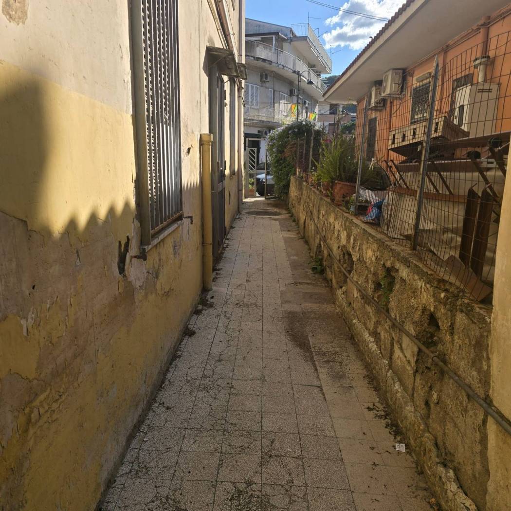 Zona