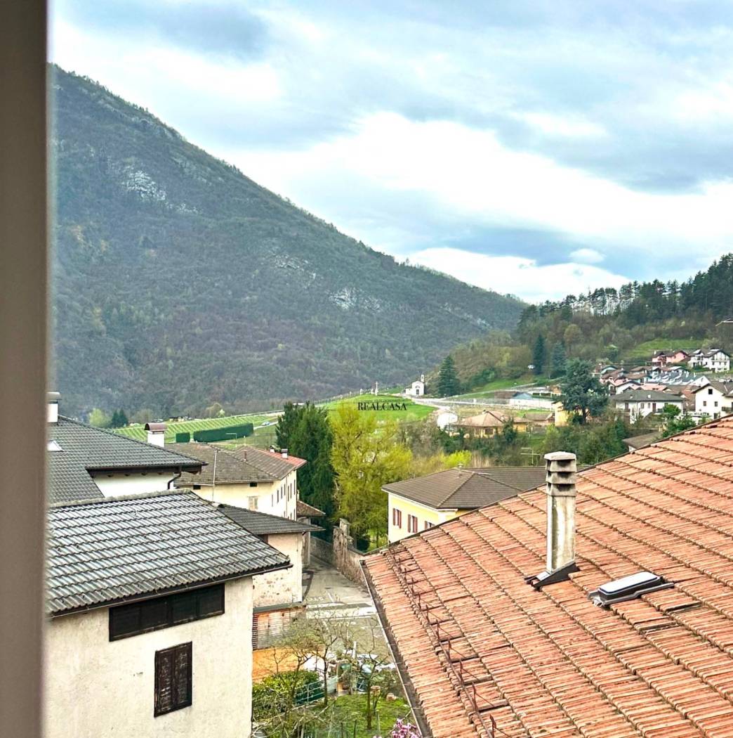 Vista