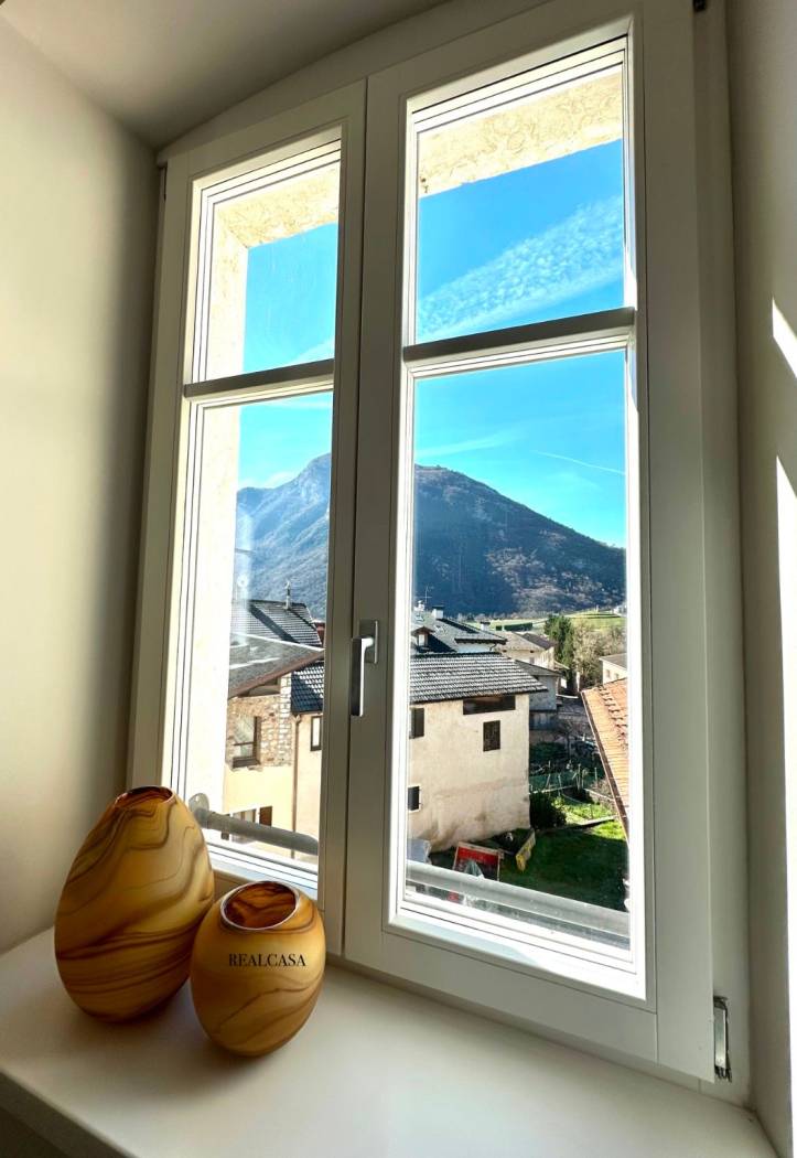 Vista