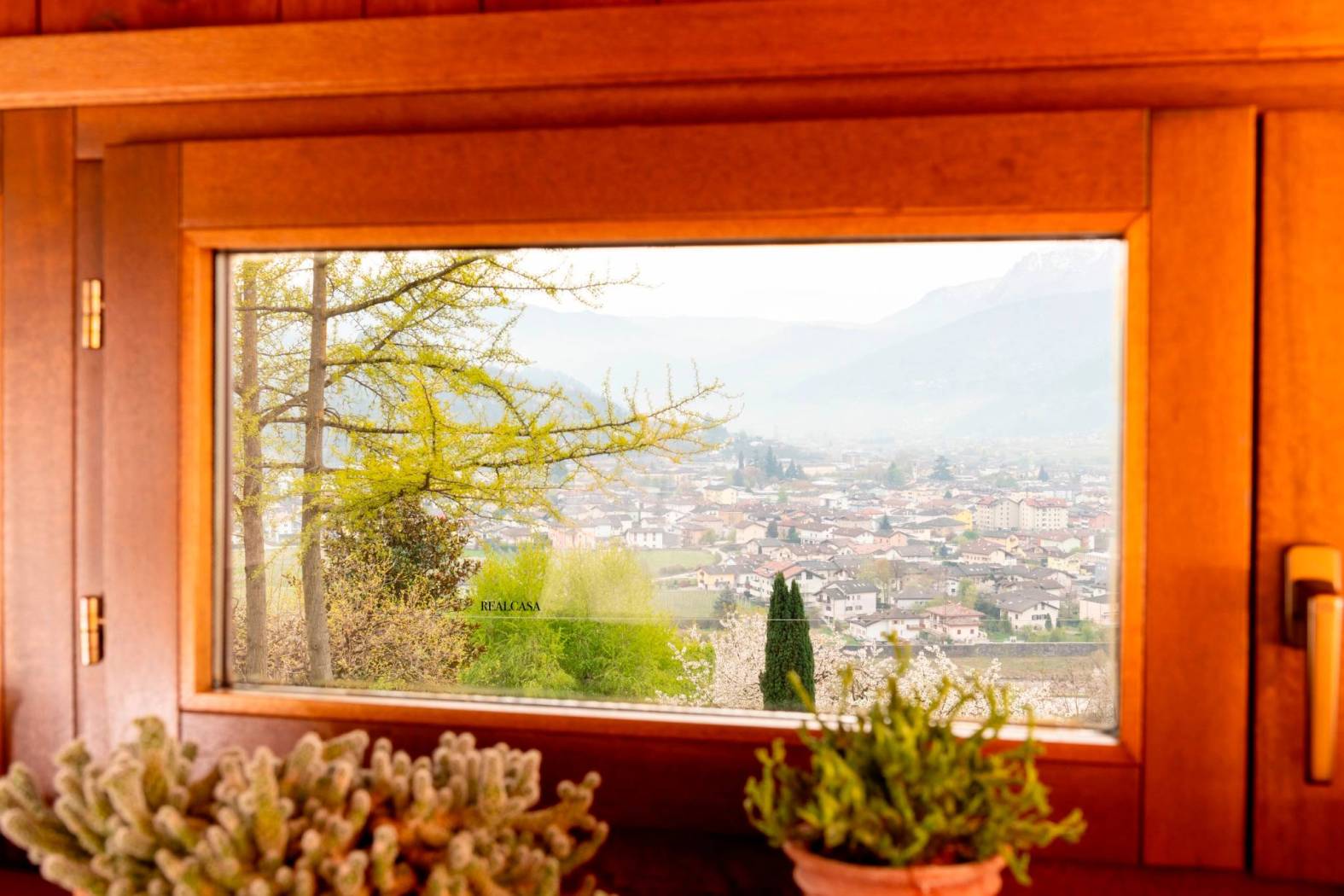Vista
