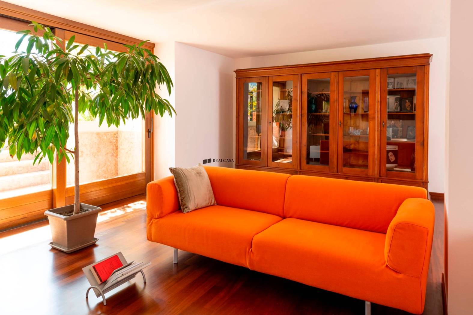 Salone