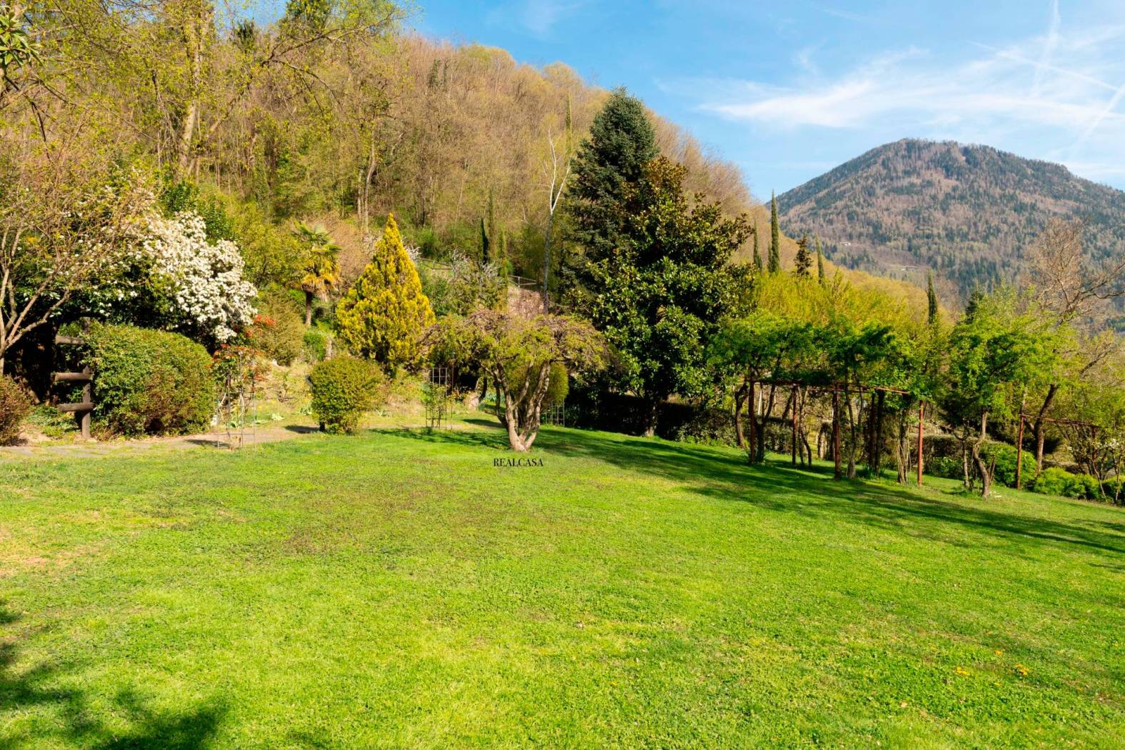 Terreno