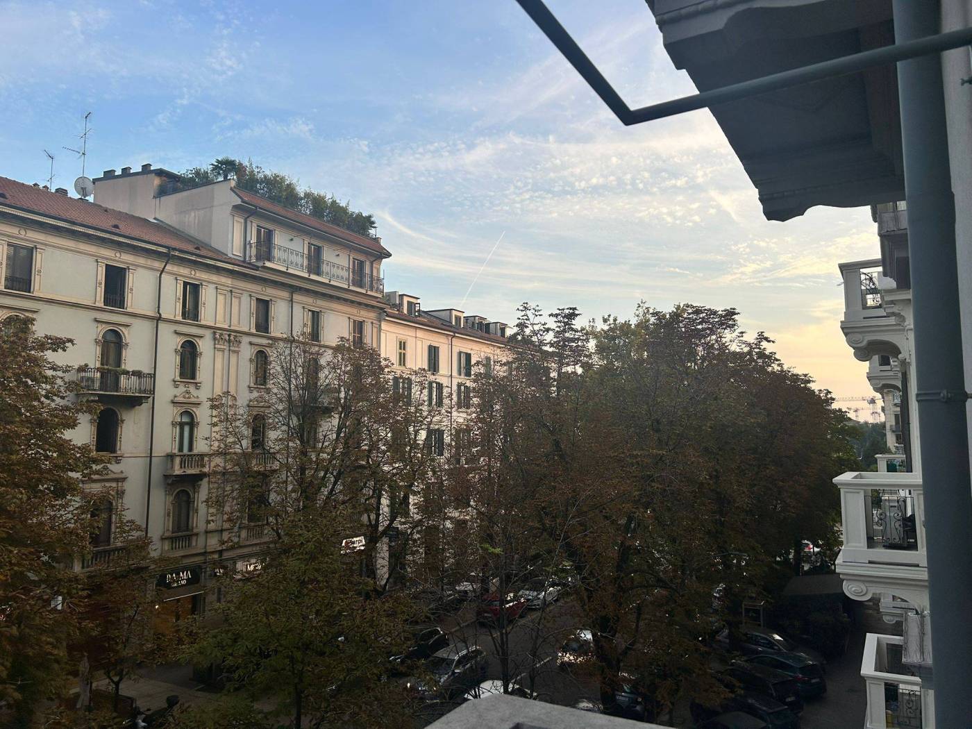Vista