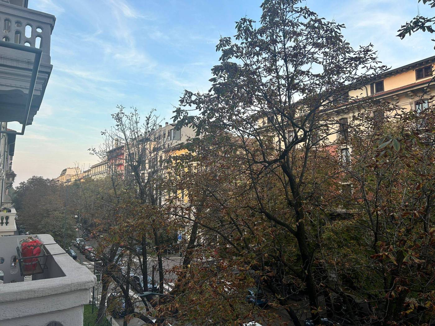 Vista