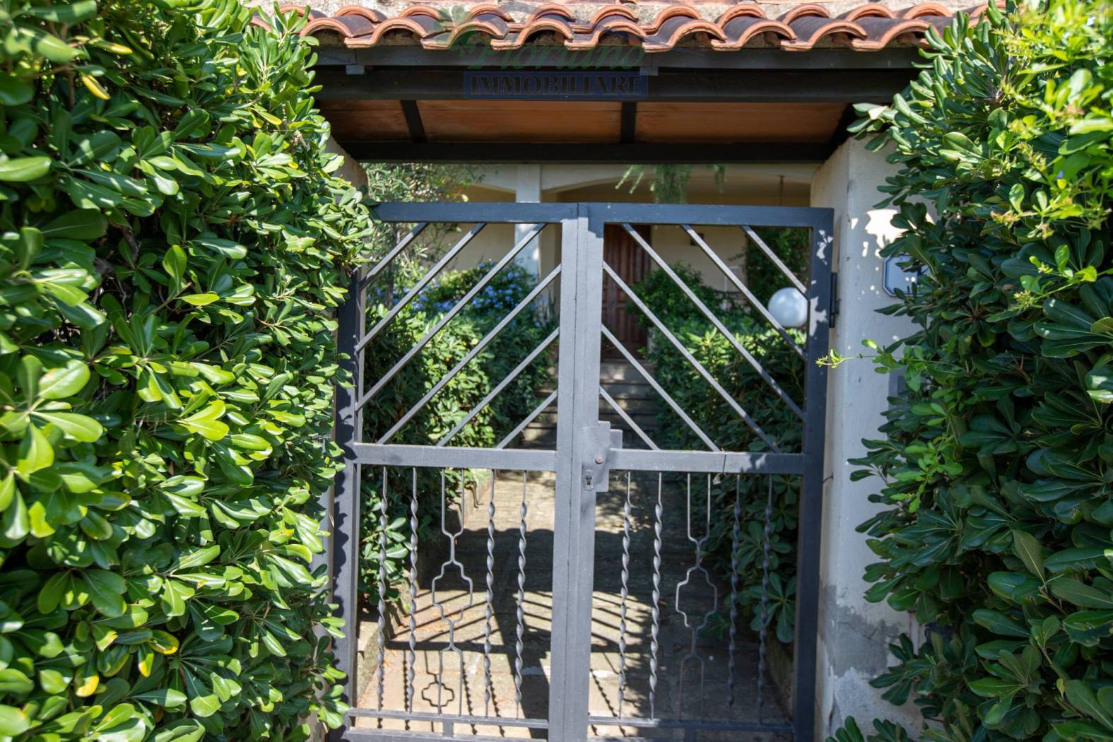 Giardino