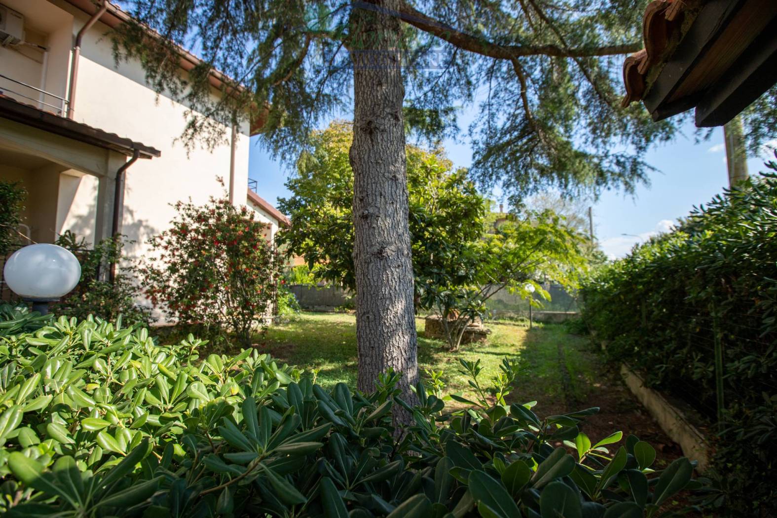 Giardino