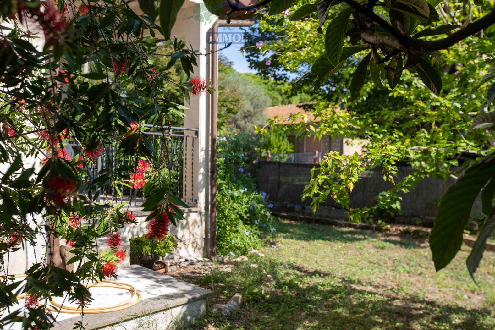Giardino
