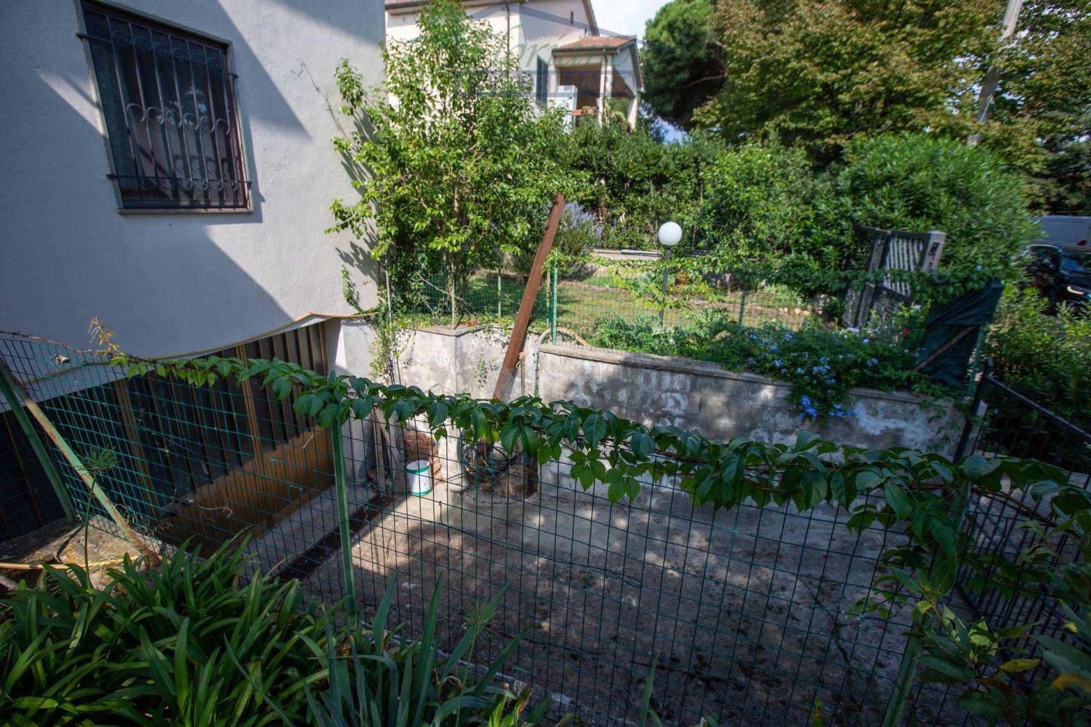Giardino
