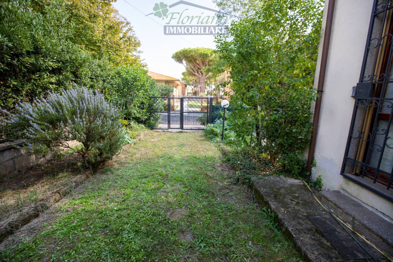 Giardino