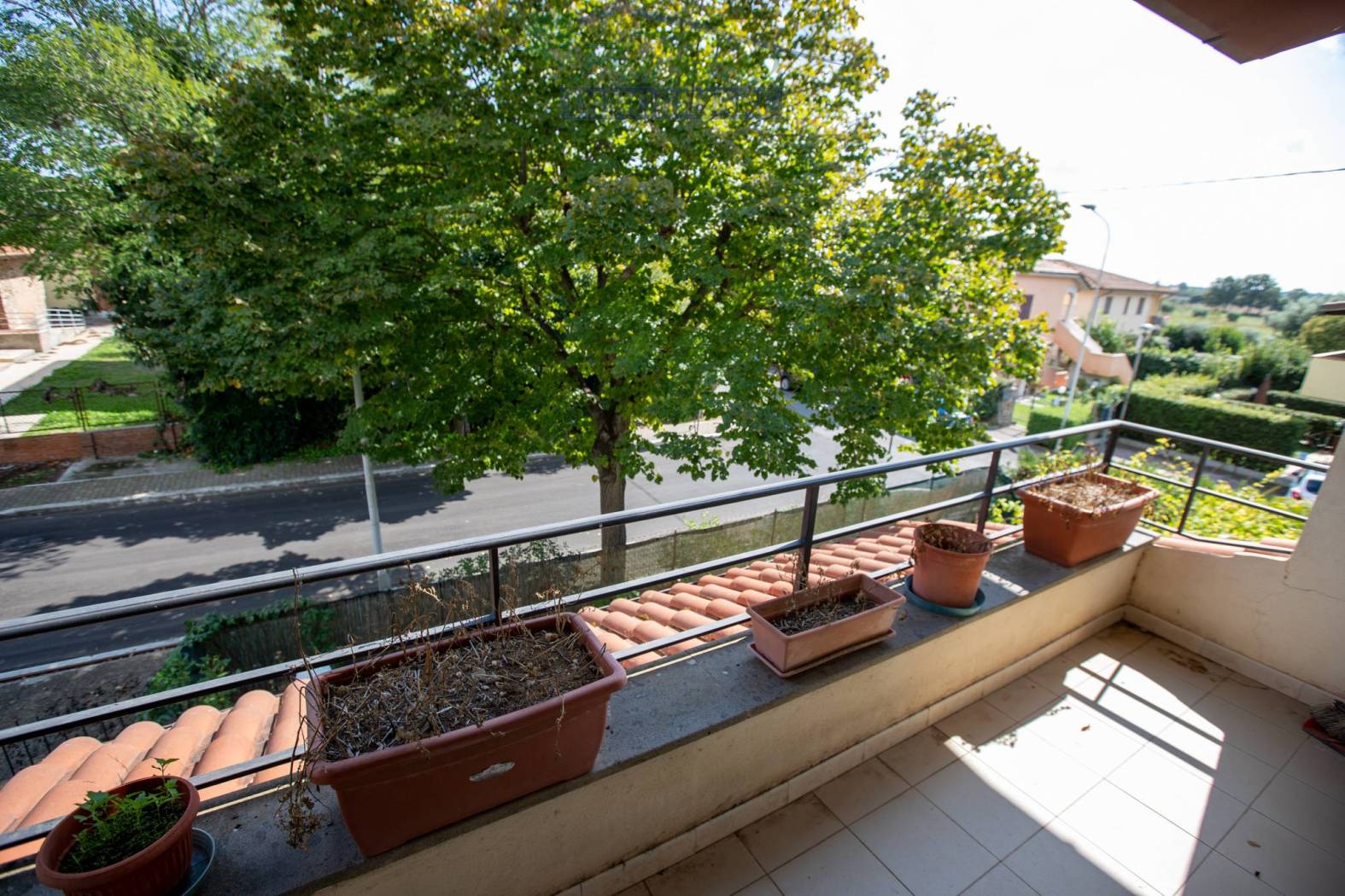 Terrazzo