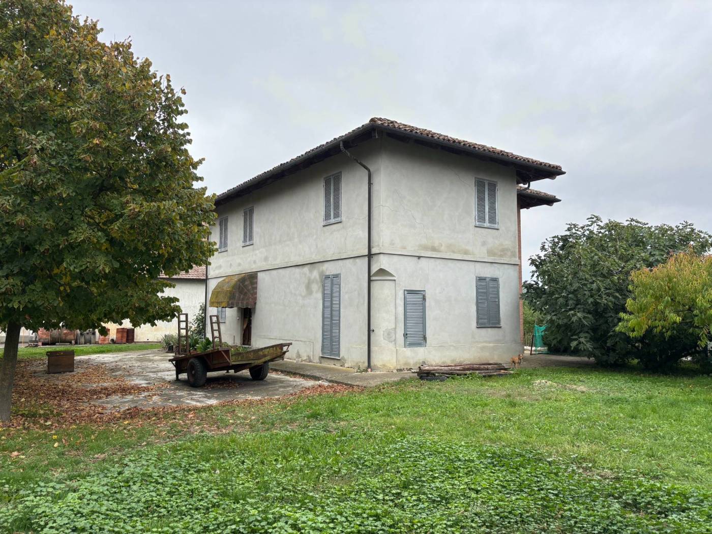 Giardino