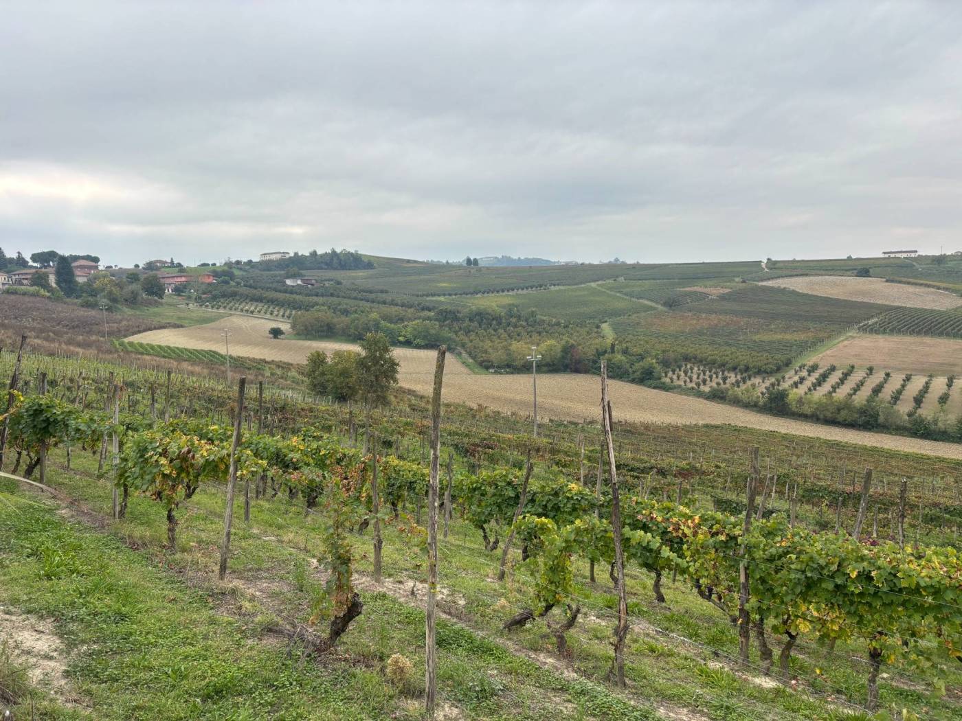 Terreno
